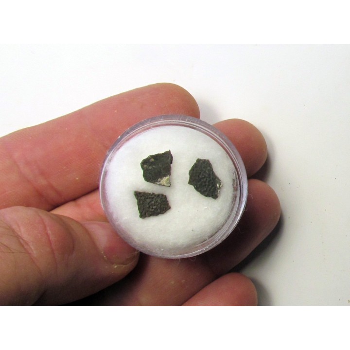 dinosaur maiasaura egg shell (11)