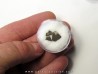 dinosaur maiasaura egg shell (12)