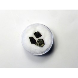 dinosaur maiasaura egg shell (13)
