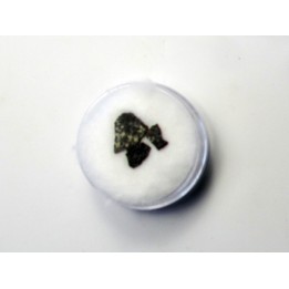 dinosaur maiasaura egg shell (14)