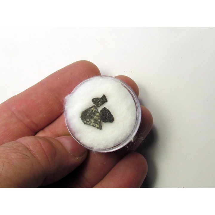 coquilles d oeuf de dinosaure Maiasaura (14)