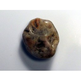 gastrolith dinosaur hadrosaure (5)