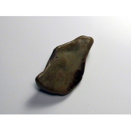 gastrolith dinosaur hadrosaure (6)