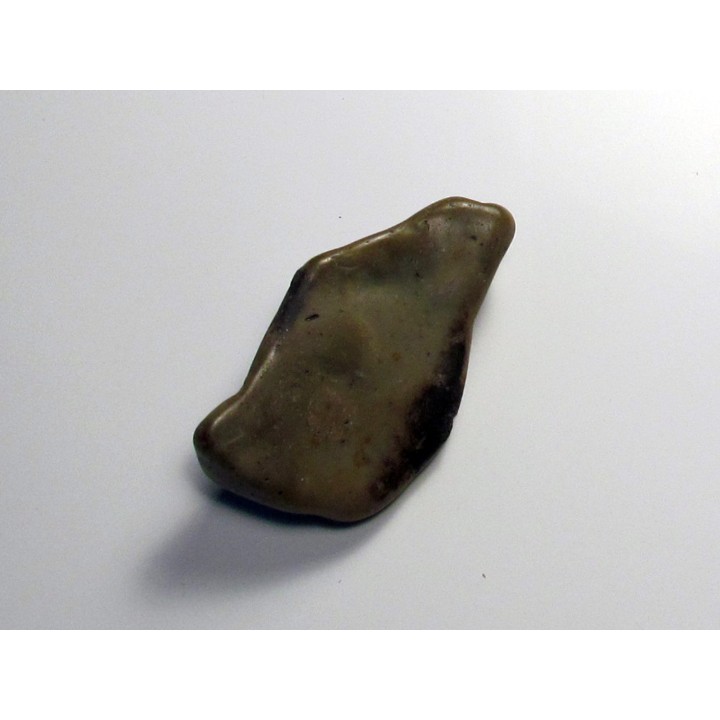 gastrolith dinosaur hadrosaure (6)