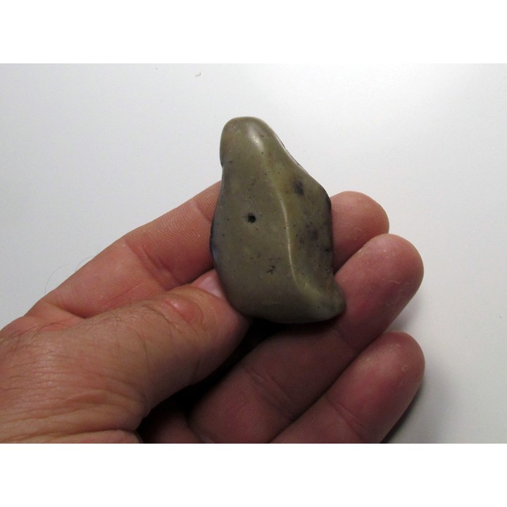 gastrolithe de dinosaure hadrosaure (6)