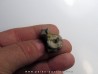 eryops megacephalus vertebra
