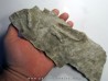 dinosaur foot print : Coesolaurichnus grancieri