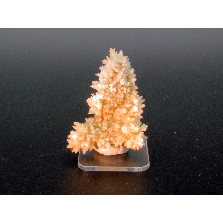Calcite  // cep de vigne // Sainte Marie aux Mines