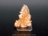 Calcite // cep de vigne // Sainte Marie aux Mines