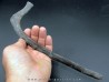 hapacrosaurus sternbergeri bone