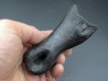 oviraptor toe preserved with traces of predation - Anzu Wyliei