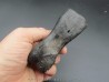 oviraptor toe preserved with traces of predation - Anzu Wyliei