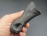 oviraptor toe preserved with traces of predation - Anzu Wyliei