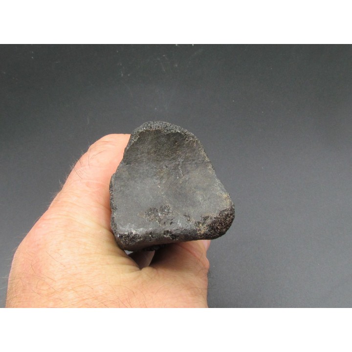 oviraptor toe preserved with traces of predation - Anzu Wyliei