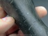 oviraptor toe preserved with traces of predation - Anzu Wyliei