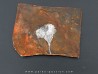 GINKGO ADIANTOIDES