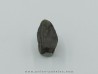 dinosaure tooth: TRICERATOPS HORRIDUS