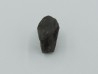 dent de TRICERATOPS HORRIDUS