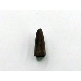 Kilestus aristotocus