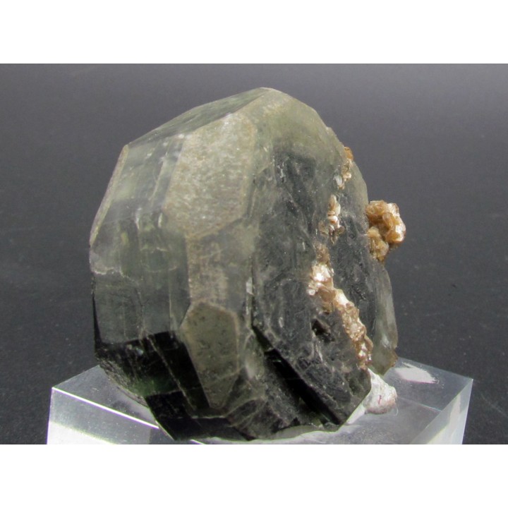Apatite sur Muscovite - Minas Gerais - Bresil