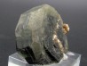 Apatite sur Muscovite - Minas Gerais - Bresil