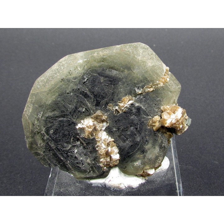 Apatite sur Muscovite - Minas Gerais - Bresil