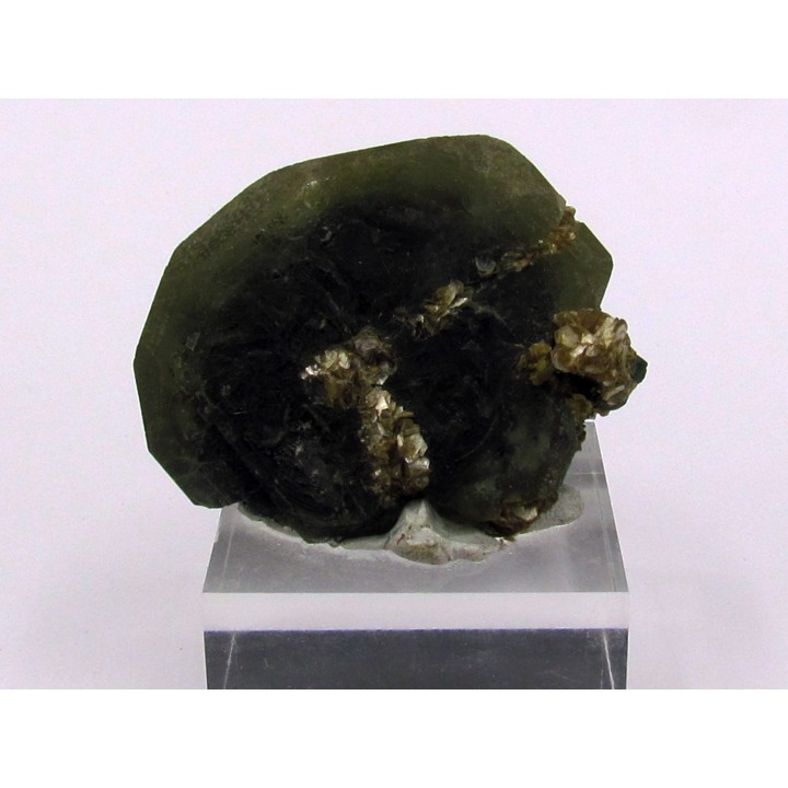 Apatite and Muscovite - Minas Gerais - Brasil