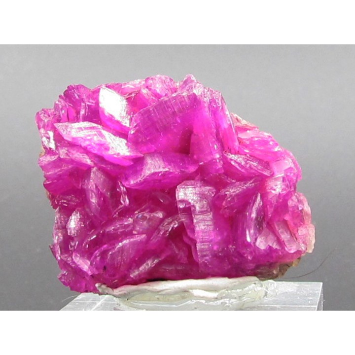 Cobatocalcite  Katanga, Rép. démo. du Congo