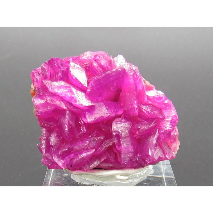 Cobatocalcite  Katanga, Rép. démo. du Congo