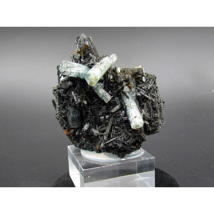 Aigue-Marine sur Tourmaline   - Erongo - Namibie