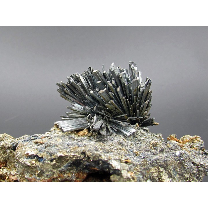 Stibine sur Pyrite  Boldut, Cavnic, Roumanie