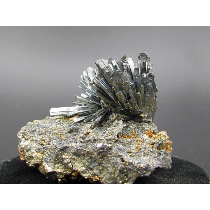 Stibine sur Pyrite  Boldut, Cavnic, Roumanie