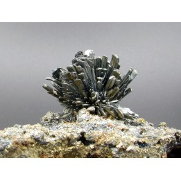 Stibine sur Pyrite  Boldut, Cavnic, Roumanie
