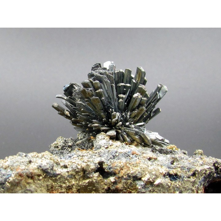 Stibine sur Pyrite  Boldut, Cavnic, Roumanie