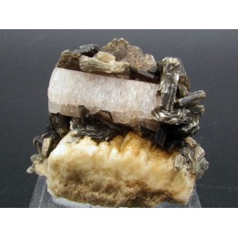 Apatite and Muscovite - Gilgit Division – PAKISTAN
