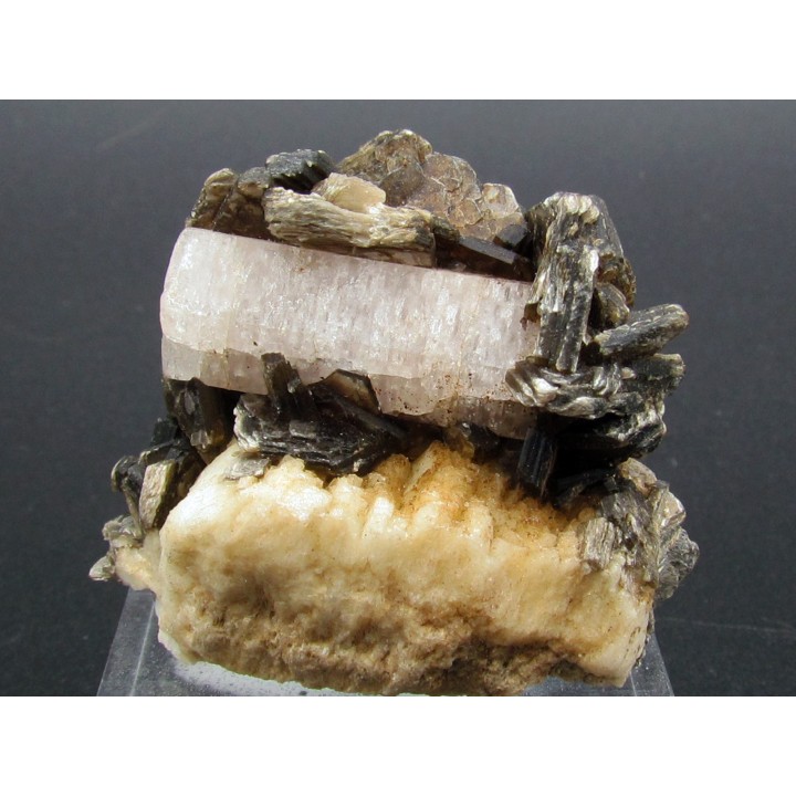Apatite and Muscovite - Gilgit Division – PAKISTAN