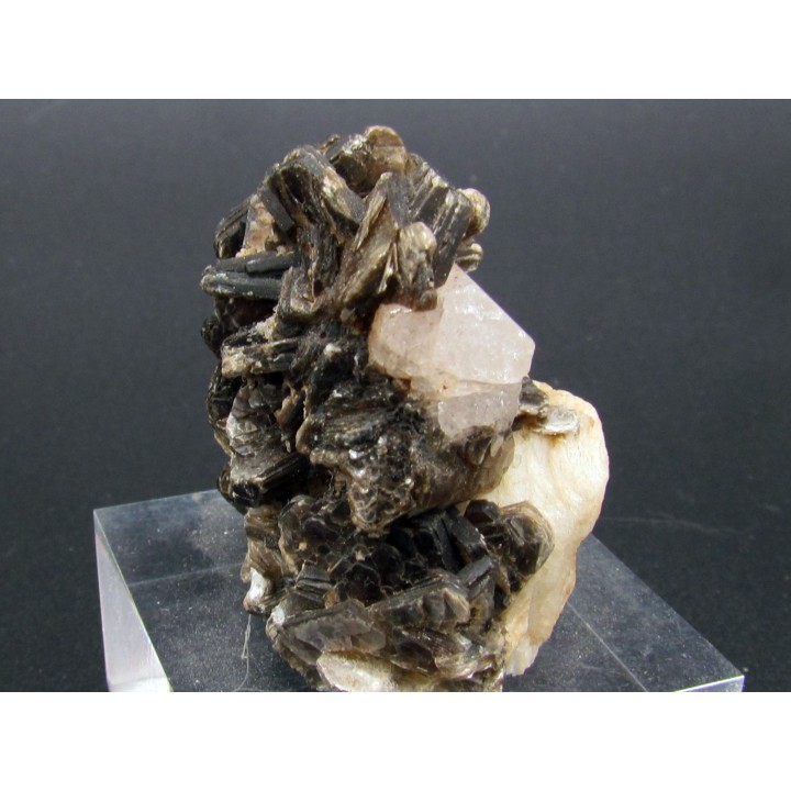 Apatite and Muscovite - Gilgit Division – PAKISTAN