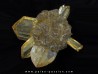 Twin Gypsum - Red River, Manitoba, Canada