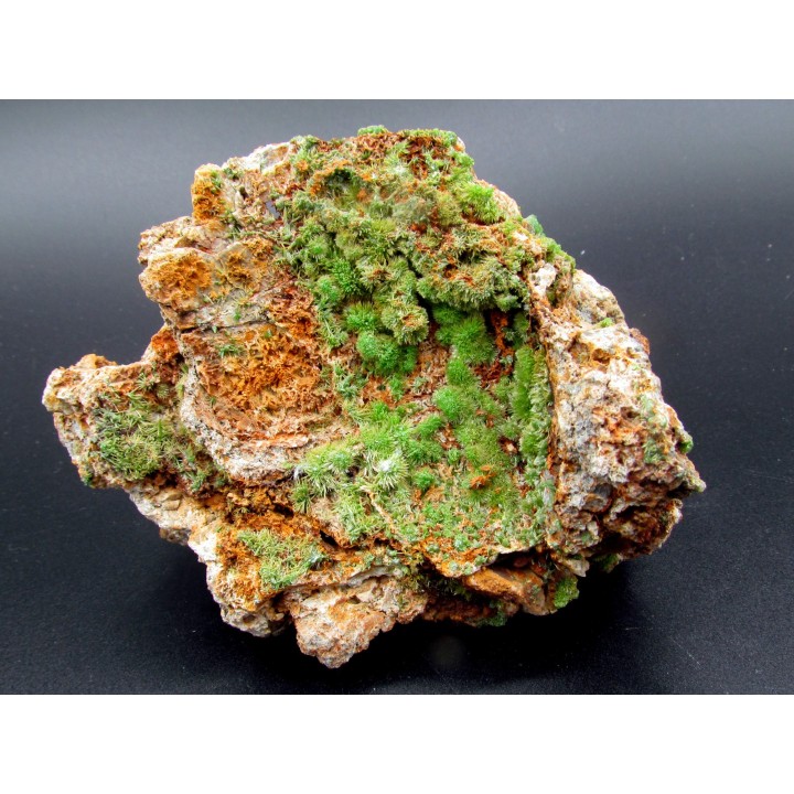 Pyromorphite  from Saint Salvy