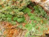 Pyromorphite  de Saint Salvy