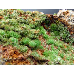 Pyromorphite  de Saint Salvy