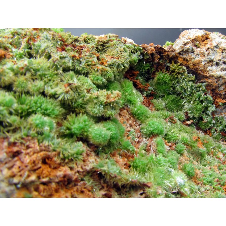 Pyromorphite  from Saint Salvy