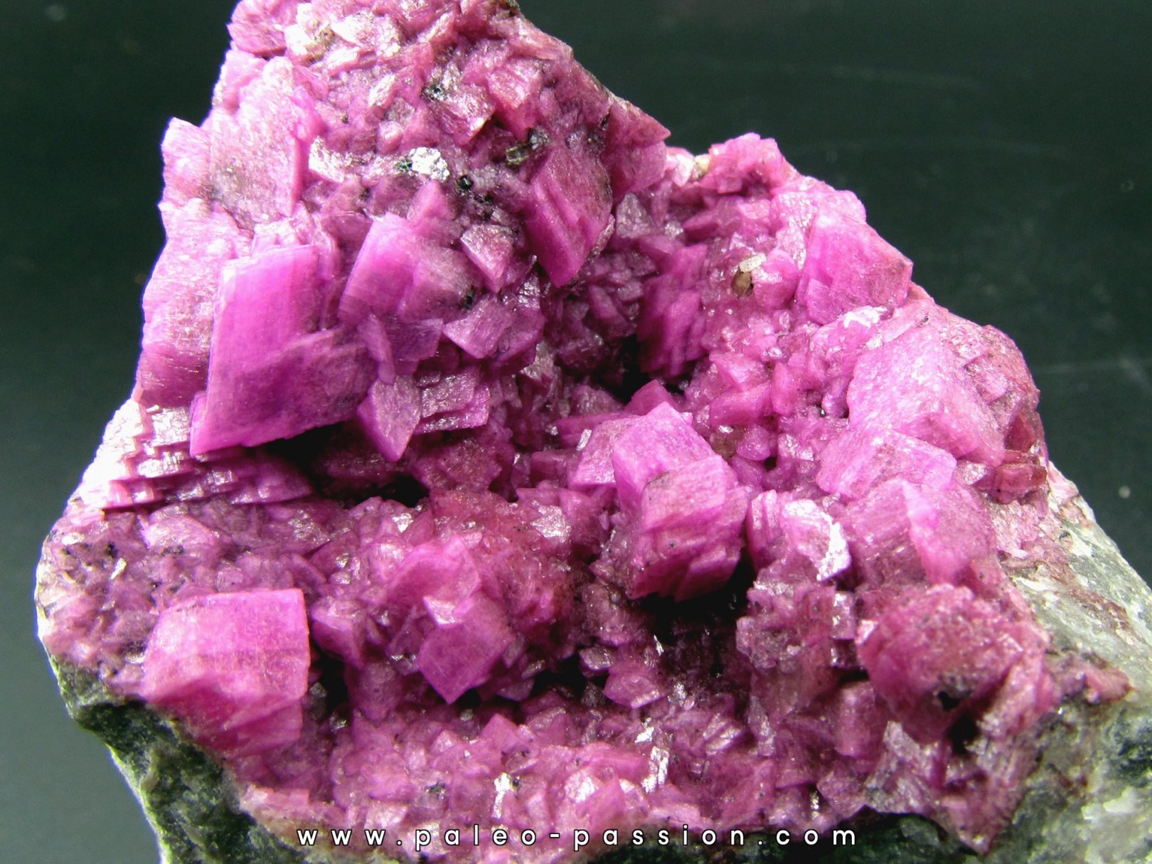 Cobatocalcite Katanga, Rép. démo. du Congo