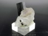 Tourmaline schorl, apatite & Quartz - Minas Gerais - Bresil
