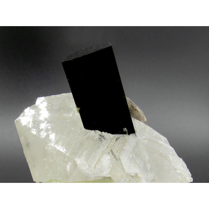 Tourmaline schorl, apatite & Quartz - Minas Gerais - Bresil
