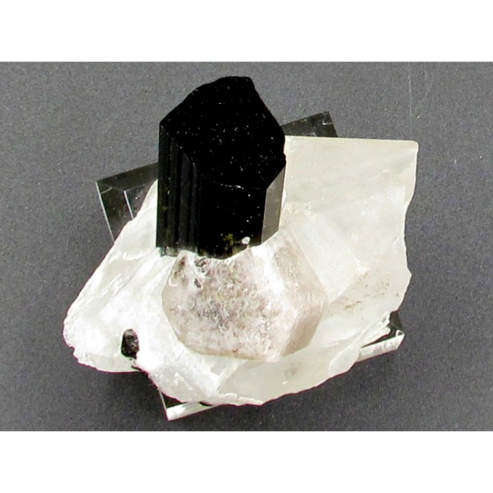 Tourmaline schorl, apatite & Quartz - Minas Gerais - Bresil