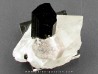Tourmaline schorl, apatite & Quartz - Minas Gerais - Brasil