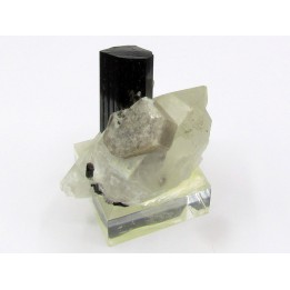 Tourmaline schorl, apatite & Quartz - Minas Gerais - Brasil