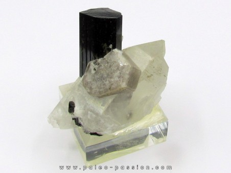 Tourmaline schorl, apatite & Quartz - Minas Gerais - Brasil