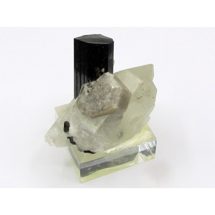 Tourmaline schorl, apatite & Quartz - Minas Gerais - Bresil